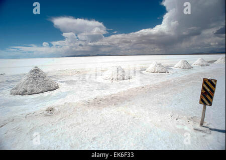 FILE - un file immagine del febbraio 2010 mostra una vista del Salar de Uyuni distesa di sale in Bolivia. Foto: Sergio Goya/dpa Foto Stock