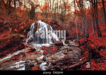 Bella cascata con alberi e foglie rosse, delle rocce e delle pietre nella foresta di autunno. Flusso di argento cascata (foresta di autunno in Crimea) Foto Stock