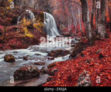 Bella cascata con alberi e foglie rosse, delle rocce e delle pietre nella foresta di autunno. Flusso di argento cascata (foresta di autunno in Crimea) Foto Stock