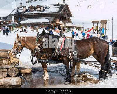 Slitta trainata da cavalli porta i visitatori fino al Rifugio Fuciade, Pale di San Martino, montagne dolomitiche, Alpi, Italia Foto Stock