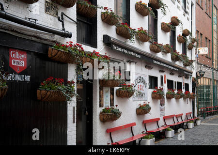 Barre in Belfast's Cathedral Quarter Irlanda del Nord Foto Stock