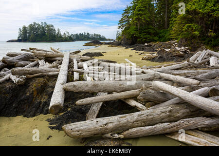 America del nord, Canada, British Columbia, l'isola di Vancouver, Pacific Rim National Park Riserva, Long Beach Foto Stock