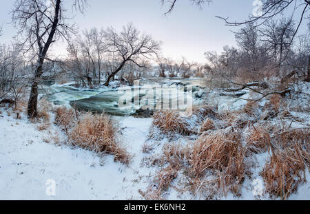 Splendido tramonto in inverno presso il fiume Krinka. Piante, Alberi e cielo blu. Crepuscolo. Foresta in Ucraina Foto Stock