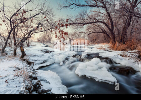 Splendido tramonto in inverno presso il fiume Krinka. Piante, Alberi e cielo blu. Crepuscolo. Foresta in Ucraina Foto Stock