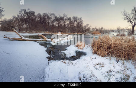 Splendido tramonto in inverno presso il fiume Krinka. Piante, Alberi e cielo blu. Crepuscolo. Foresta in Ucraina Foto Stock