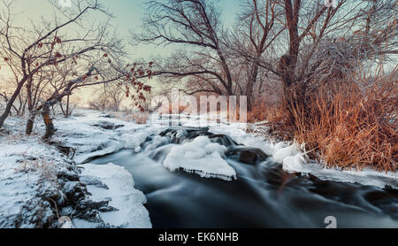 Splendido tramonto in inverno presso il fiume Krinka. Piante, Alberi e cielo blu. Crepuscolo. Foresta in Ucraina Foto Stock