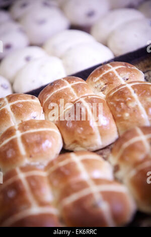 Sheldon's Bakery in Openshaw produrre milioni di hot cross bums per Asda questa Pasqua. Foto di dolce da forno Foto Stock