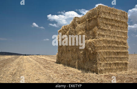 Quadrata balle di paglia in una pila, Badajoz, Spagna Foto Stock