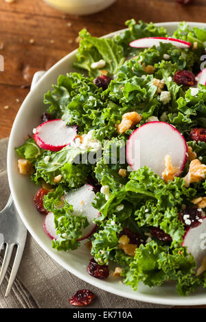 Un sano materie Kale e Cranberry Insalata con formaggio e dadi Foto Stock