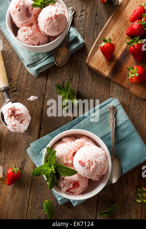 Il freddo Gelato alla fragola in una ciotola con la menta Foto Stock