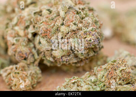 Extreme close-up di marijuana secco bud con molto superficiale DOF Foto Stock