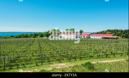 Michigan, Traverse City, la Vecchia Missione Penisola, Chateau Grand Traverse Cantina e Vigneti Foto Stock