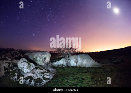 Bella notte estiva in Ucraina. Luna piena. Foto Stock