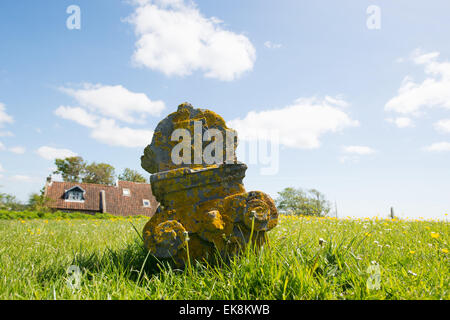 Tipica pietra nel cimitero a Striep sul wadden olandese isola Terschelling Foto Stock