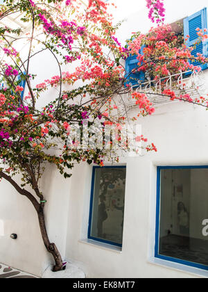 Colorata little terrazza a Santorini. La Grecia Foto Stock