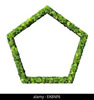 Pentagono realizzato da foglie verdi isolati su sfondo bianco. 3D render. Foto Stock