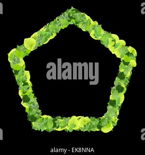 Pentagono realizzato da foglie verdi isolati su sfondo bianco. 3D render. Foto Stock