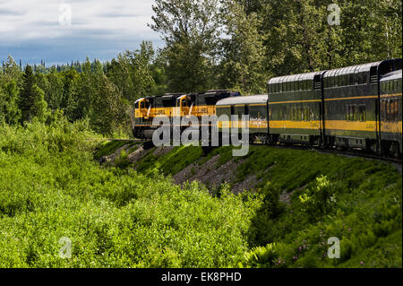 Alaska Railroad Scenic escursione in treno, Alaska, STATI UNITI D'AMERICA Foto Stock