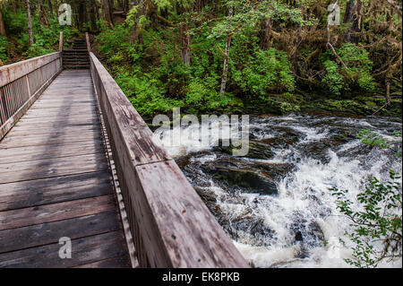 Passerella in legno su un flusso impetuoso nella foresta pluviale temperata di Tongass National Forest, Ketchikan, Alaska, STATI UNITI D'AMERICA Foto Stock