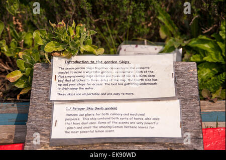 Londra, Regno Unito. 8 Aprile, 2015. L'attuale clima caldo è benvenuto a 'Skip giardino", nel mezzo del King's Cross sito di sviluppo. La frutta e la verdura cresce al di fuori del mobile, bonificata salta in un giardino curato da "i generatori" (i giovani coinvolti nel progetto) lavorando con i volontari della carità ecologica globale di generazione, il quotidiano The Guardian e King Cross per lavoratori edili. Credito: Stephen Chung/Alamy Live News Foto Stock