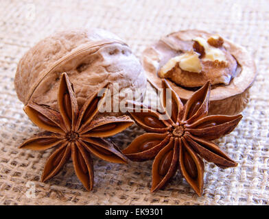 Noci e Anice stellato su tela Lo sfondo Foto Stock