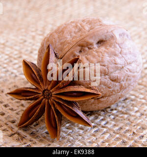 Noci e Anice stellato su tela Lo sfondo Foto Stock