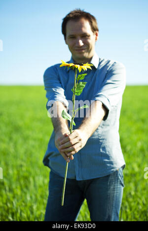 Un giovane uomo e un campo di semi di girasole Foto Stock