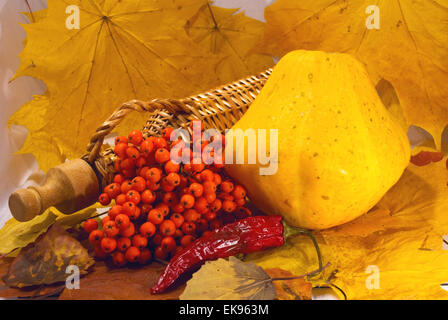 Autunno still-life di capesante e rowan Foto Stock