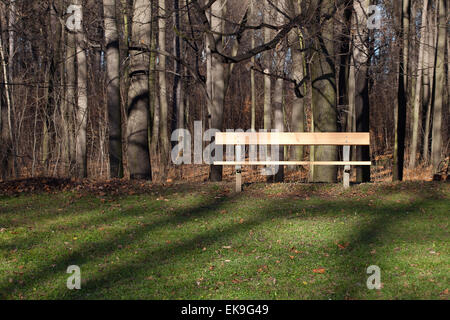 Lone panca di legno in piedi nella foresta di autunno Foto Stock