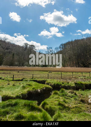 Paesaggio raffigurante Afon Mawddach ingresso e i boschi Abergwynant area su una chiara giornata di primavera. Foto Stock