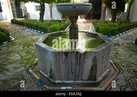 Tipico cortile andaluso con piante e una fontana da interno, Cordoba, Spagna Foto Stock