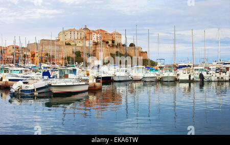 Calvi , corsica, vista con marina e la fortezza vecchia Foto Stock