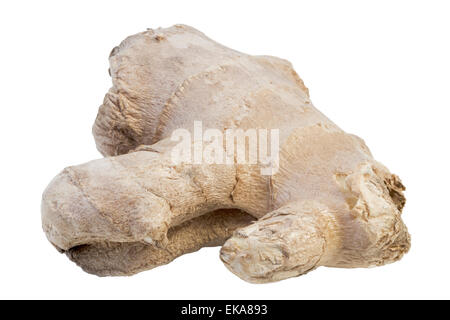 Primo piano di una di zenzero fresco, isolati su sfondo bianco Foto Stock