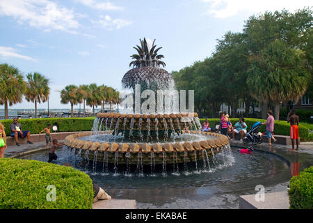 L'ananas fontana situata in Waterfront Park a Charleston, Carolina del Sud, Stati Uniti d'America. Foto Stock
