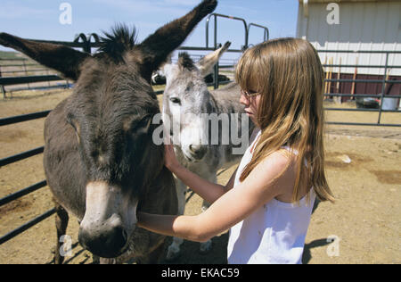 Beth Hart, un volontario lavoratore in Nuovo Messico Farm & Ranch Heritage Museum, Las Cruces, NM, Stati Uniti d'America Foto Stock