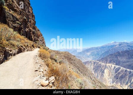 Il sentiero di entrata e di uscita dei Canyon del Colca in Perù Foto Stock