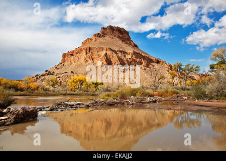 Le foglie di giallo dei cottonwoods aggiungere un carismatic flair per i colori dell'autunno nella zona vicino a New Mexico settentrionale villaggio. Foto Stock