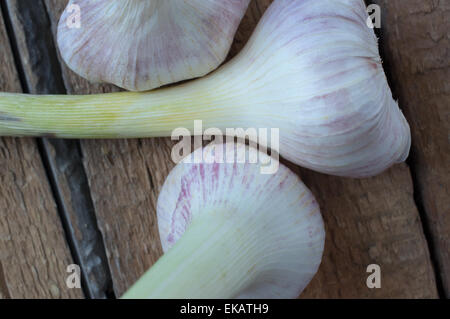 Capi di aglio closeup sul pannello di legno Foto Stock