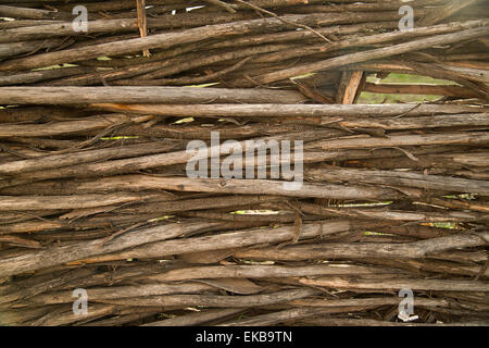 Frammento di una recinzione da tessuti insieme rami secchi bush Foto Stock