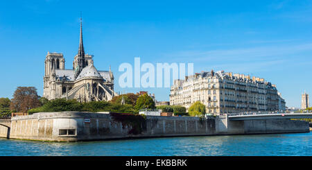 La cattedrale di Notre Dame e l'Ile de la Cite, Parigi, Francia, Europa Foto Stock