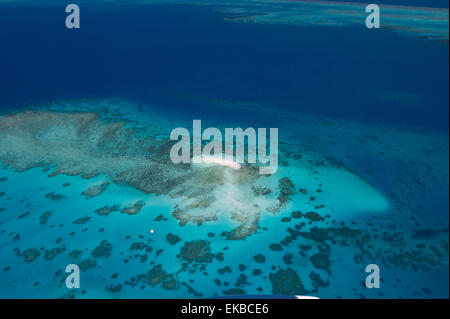 Fotografia aerea della barriera corallina formazioni della Grande Barriera Corallina, UNESCO, vicino a Cairns, North Queensland, Australia Pacific Foto Stock