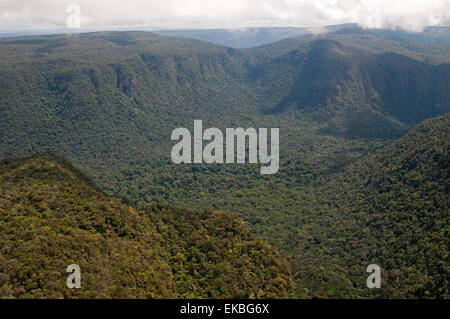 Vista aerea della foresta pluviale di montagna in Guyana, Sud America Foto Stock