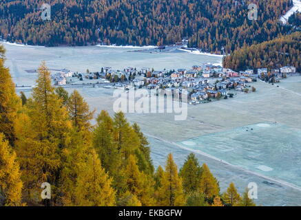 Il villaggio di Surlej da San Moritz in Engadina, circondato da larici giallo in autunno, Grigioni, alpi svizzere, Svizzera Foto Stock