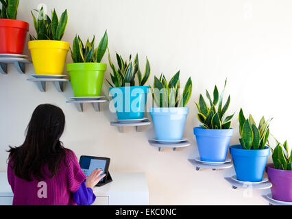 Vista posteriore della donna con tavoletta digitale nella parte anteriore della fila diagonale di piante in vaso Foto Stock