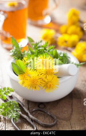 Coltsfoot fiori erbe di primavera in un mortaio e tè alle erbe Foto Stock