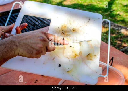 Affettare le cipolle Foto Stock