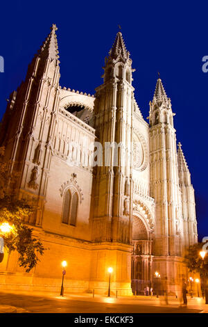 Cattedrale di Maiorca in Palma de Mallorca notte Foto Stock