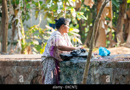 Una donna il lavaggio di vestiti sulle rive delle backwaters di Kumarakom Kerala India Foto Stock