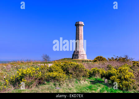 Vice Ammiraglio Hardys monumento in Dorset Foto Stock