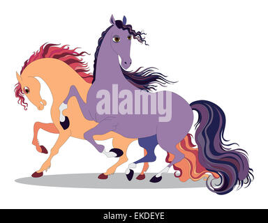 Due cavalli Foto Stock